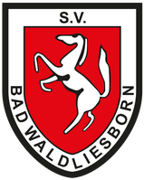 SV Bad Waldliesborn Tennis